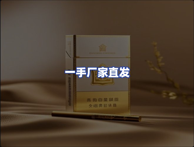 专业团队